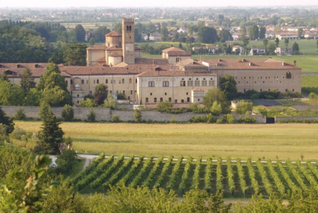 Abbazia di Praglia - Padova e Palazzo Bo - Arquà Petrarca - Montegrotto Terme (dal 20 al 22 Febbraio 2026)