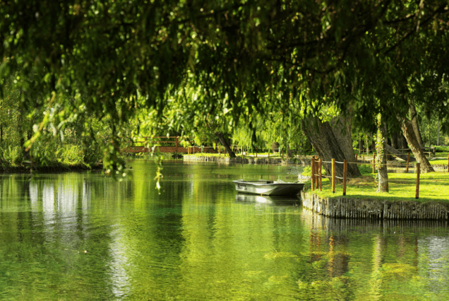 Fonti del Clitunno e Spoleto (3 Maggio)