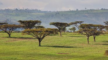 Vacanza-Kenya - CrilumaViaggi