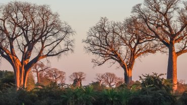 Vacanza - Madagascar - CrilumaViaggi
