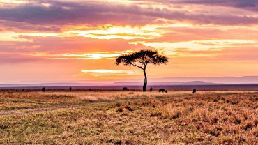 Vacanza-Tanzania - CrilumaViaggi