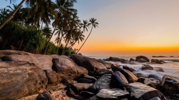 Vacanza - Sri Lanka - CrilumaViaggi