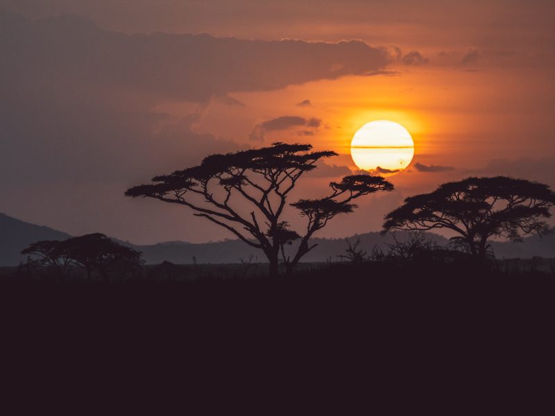 Vacanza-Tanzania - CrilumaViaggi