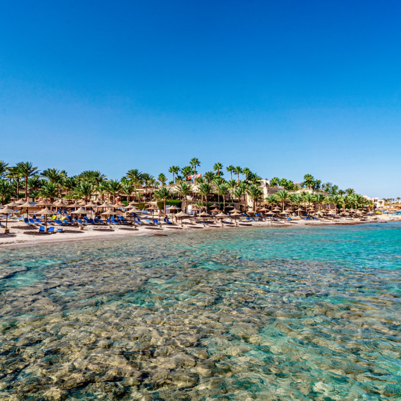 Sharm el-Sheikh (dal 30 agosto al 6 settembre 2025) - immagine 2