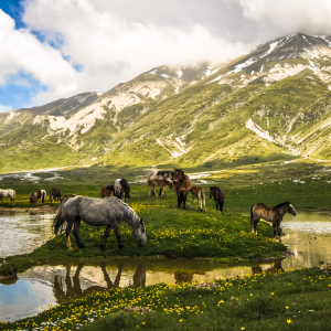 Campo Imperatore - 6 Luglio