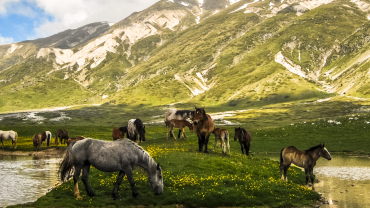 Campo Imperatore - 6 Luglio - CrilumaViaggi